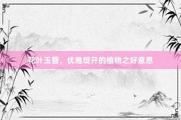 花叶玉簪，优雅绽开的植物之好意思
